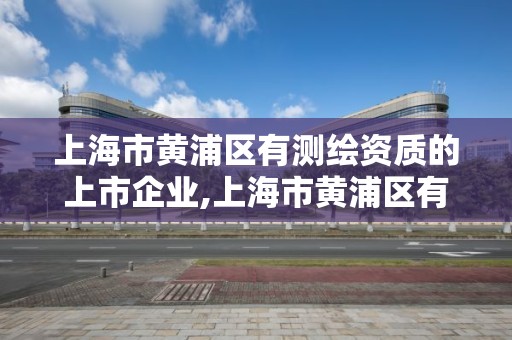 上海市黄浦区有测绘资质的上市企业,上海市黄浦区有测绘资质的上市企业有哪些。