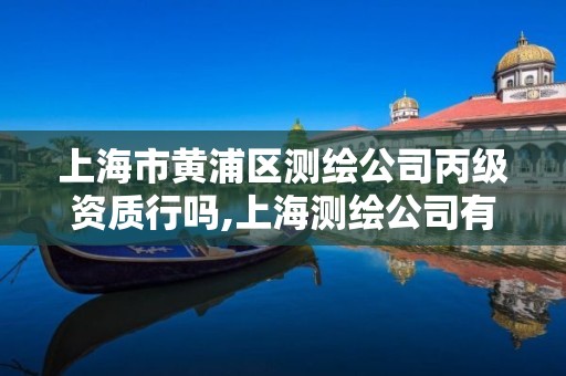 上海市黄浦区测绘公司丙级资质行吗,上海测绘公司有哪几家