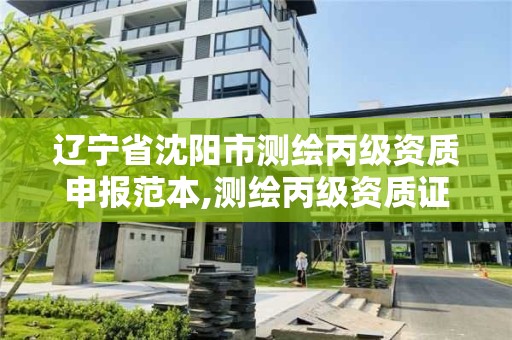 辽宁省沈阳市测绘丙级资质申报范本,测绘丙级资质证书