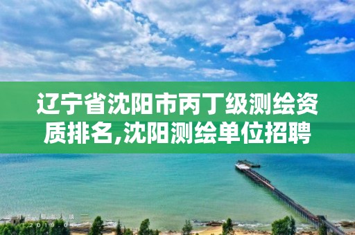 辽宁省沈阳市丙丁级测绘资质排名,沈阳测绘单位招聘