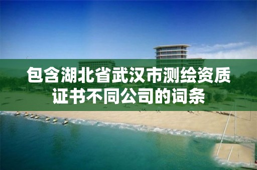 包含湖北省武汉市测绘资质证书不同公司的词条