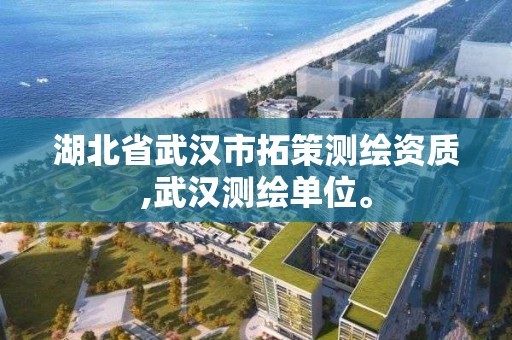 湖北省武汉市拓策测绘资质,武汉测绘单位。