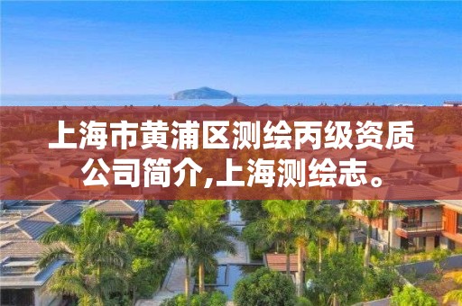 上海市黄浦区测绘丙级资质公司简介,上海测绘志。