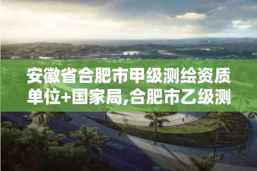 安徽省合肥市甲级测绘资质单位+国家局,合肥市乙级测绘公司。