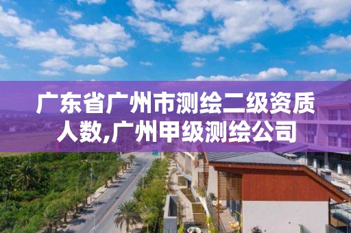 广东省广州市测绘二级资质人数,广州甲级测绘公司