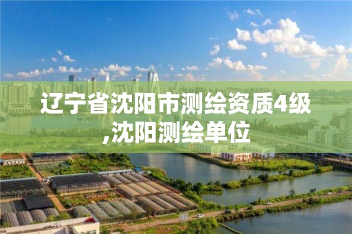 辽宁省沈阳市测绘资质4级,沈阳测绘单位