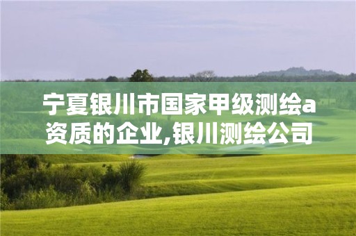 宁夏银川市国家甲级测绘a资质的企业,银川测绘公司招聘信息。