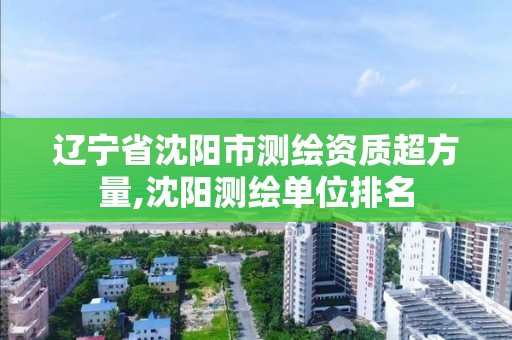 辽宁省沈阳市测绘资质超方量,沈阳测绘单位排名