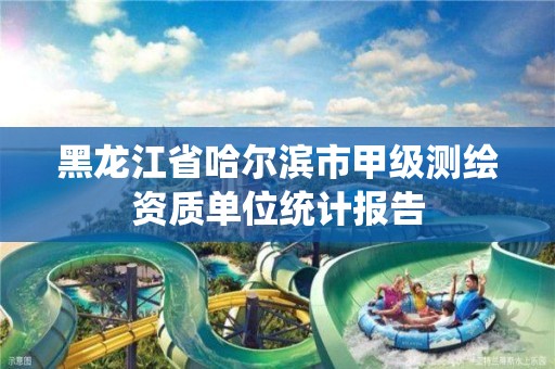 黑龙江省哈尔滨市甲级测绘资质单位统计报告