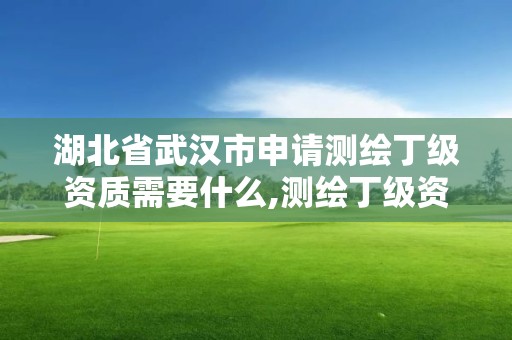 湖北省武汉市申请测绘丁级资质需要什么,测绘丁级资质全套申请文件。