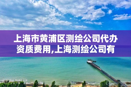 上海市黄浦区测绘公司代办资质费用,上海测绘公司有哪几家