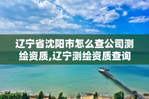 辽宁省沈阳市怎么查公司测绘资质,辽宁测绘资质查询