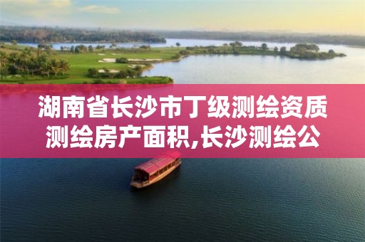 湖南省长沙市丁级测绘资质测绘房产面积,长沙测绘公司资质有哪家