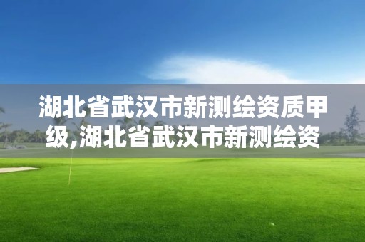 湖北省武汉市新测绘资质甲级,湖北省武汉市新测绘资质甲级公司名单