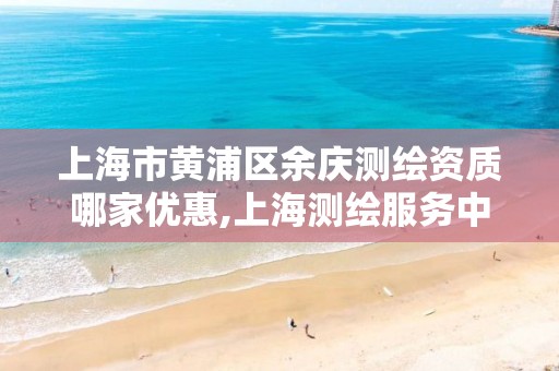 上海市黄浦区余庆测绘资质哪家优惠,上海测绘服务中心