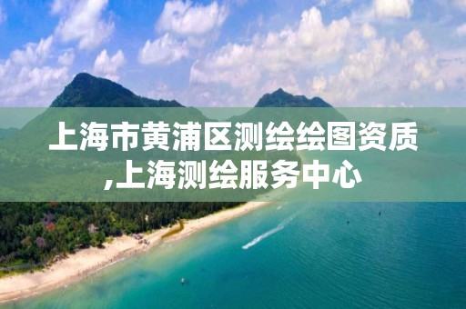 上海市黄浦区测绘绘图资质,上海测绘服务中心