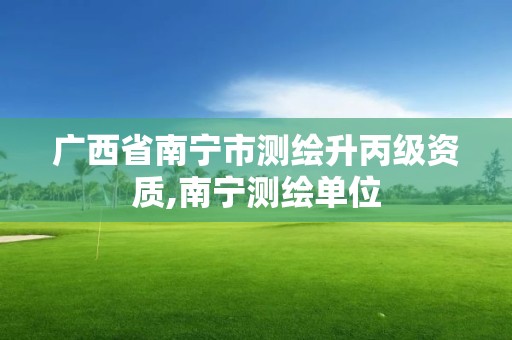 广西省南宁市测绘升丙级资质,南宁测绘单位