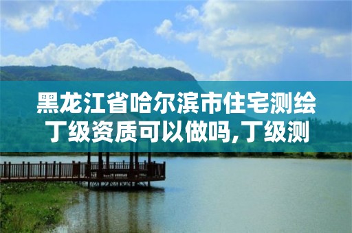 黑龙江省哈尔滨市住宅测绘丁级资质可以做吗,丁级测绘资质不动产测绘范围。