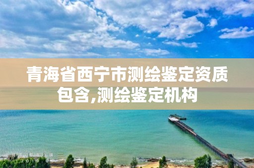 青海省西宁市测绘鉴定资质包含,测绘鉴定机构