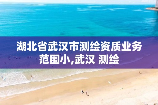 湖北省武汉市测绘资质业务范围小,武汉 测绘