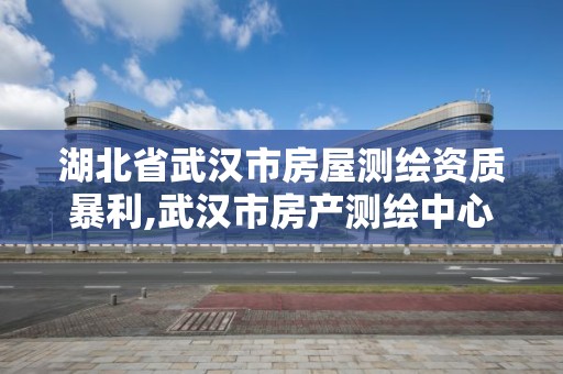 湖北省武汉市房屋测绘资质暴利,武汉市房产测绘中心是什么性质