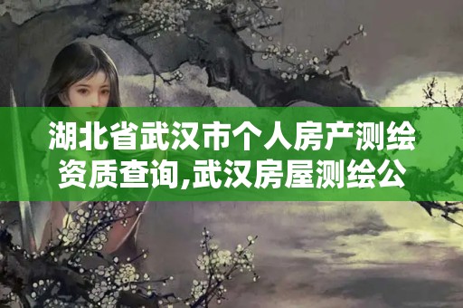 湖北省武汉市个人房产测绘资质查询,武汉房屋测绘公司