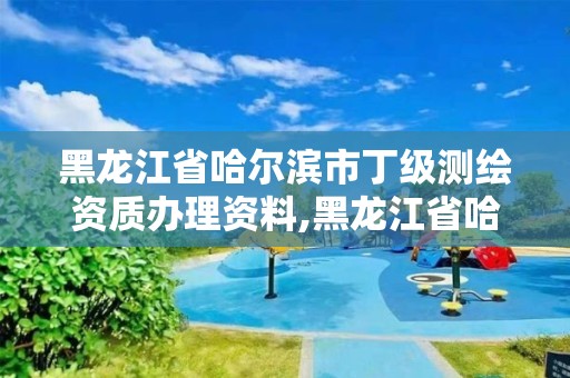 黑龙江省哈尔滨市丁级测绘资质办理资料,黑龙江省哈尔滨市测绘局