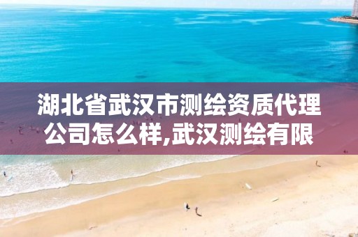 湖北省武汉市测绘资质代理公司怎么样,武汉测绘有限公司。