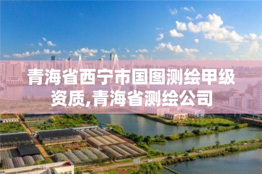 青海省西宁市国图测绘甲级资质,青海省测绘公司