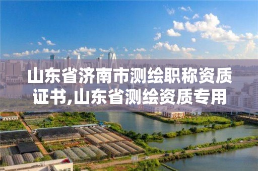 山东省济南市测绘职称资质证书,山东省测绘资质专用章图片。