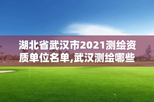 湖北省武汉市2021测绘资质单位名单,武汉测绘哪些单位比较好。