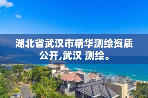 湖北省武汉市精华测绘资质公开,武汉 测绘。