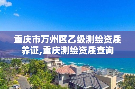 重庆市万州区乙级测绘资质养证,重庆测绘资质查询