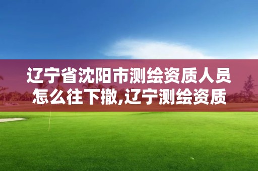 辽宁省沈阳市测绘资质人员怎么往下撤,辽宁测绘资质单位