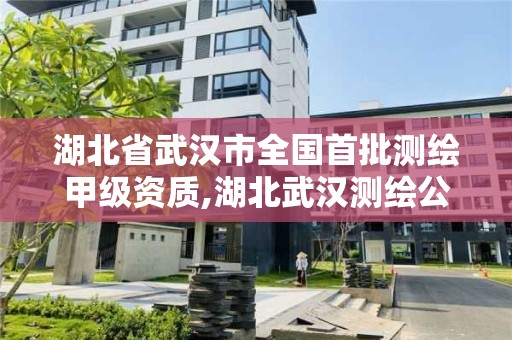 湖北省武汉市全国首批测绘甲级资质,湖北武汉测绘公司排行榜