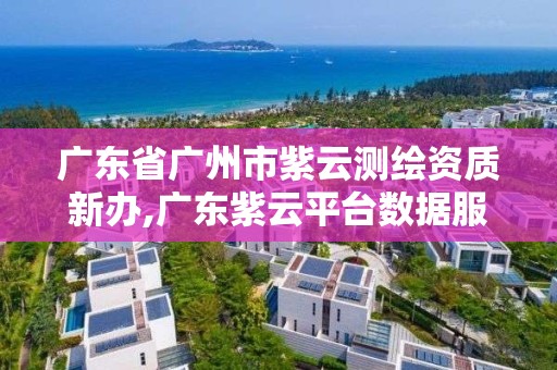 广东省广州市紫云测绘资质新办,广东紫云平台数据服务有限公司官网