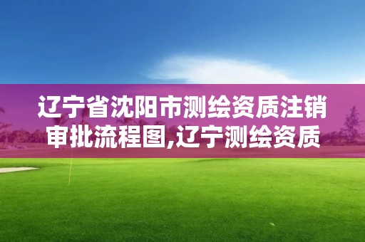 辽宁省沈阳市测绘资质注销审批流程图,辽宁测绘资质查询。