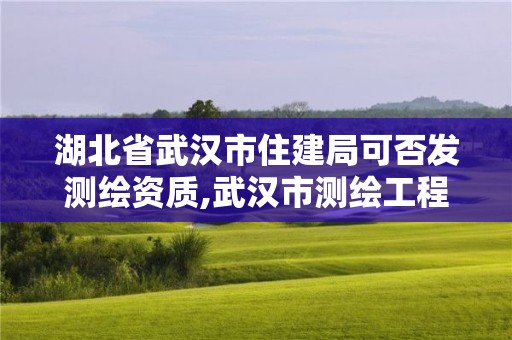 湖北省武汉市住建局可否发测绘资质,武汉市测绘工程技术规定。