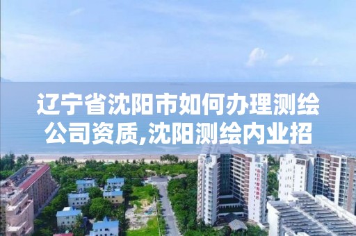 辽宁省沈阳市如何办理测绘公司资质,沈阳测绘内业招聘信息