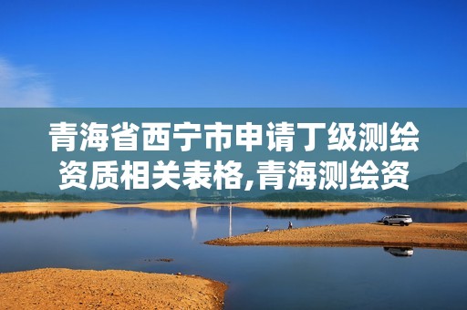 青海省西宁市申请丁级测绘资质相关表格,青海测绘资质办理