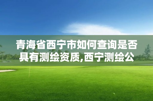 青海省西宁市如何查询是否具有测绘资质,西宁测绘公司联系方式