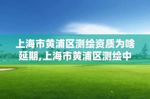 上海市黄浦区测绘资质为啥延期,上海市黄浦区测绘中心