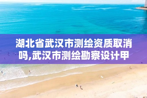 湖北省武汉市测绘资质取消吗,武汉市测绘勘察设计甲级资质公司