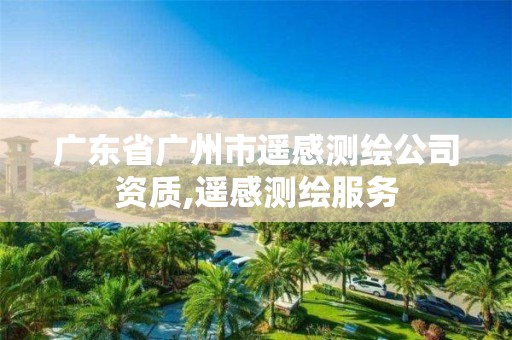 广东省广州市遥感测绘公司资质,遥感测绘服务