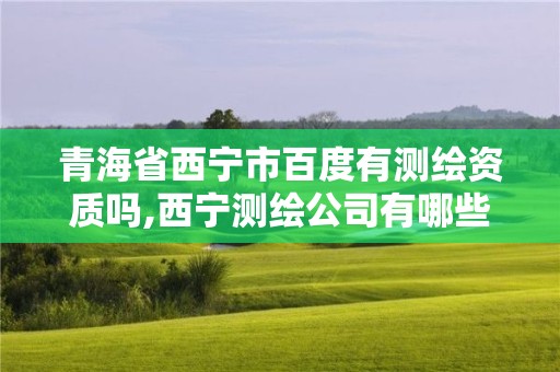 青海省西宁市百度有测绘资质吗,西宁测绘公司有哪些。