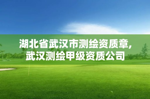 湖北省武汉市测绘资质章,武汉测绘甲级资质公司