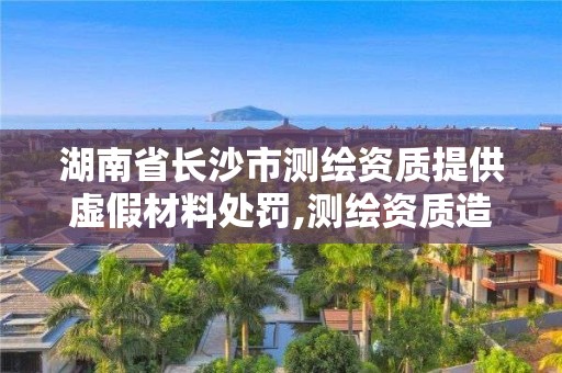 湖南省长沙市测绘资质提供虚假材料处罚,测绘资质造假在哪里举报