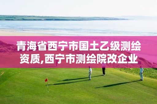 青海省西宁市国土乙级测绘资质,西宁市测绘院改企业