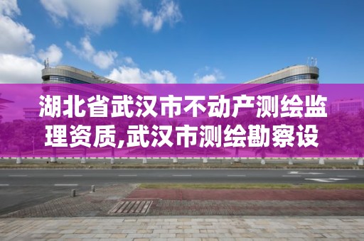 湖北省武汉市不动产测绘监理资质,武汉市测绘勘察设计甲级资质公司