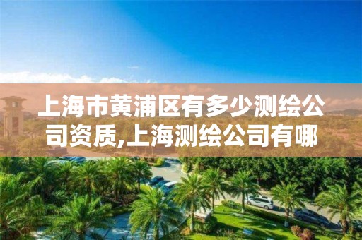 上海市黄浦区有多少测绘公司资质,上海测绘公司有哪几家